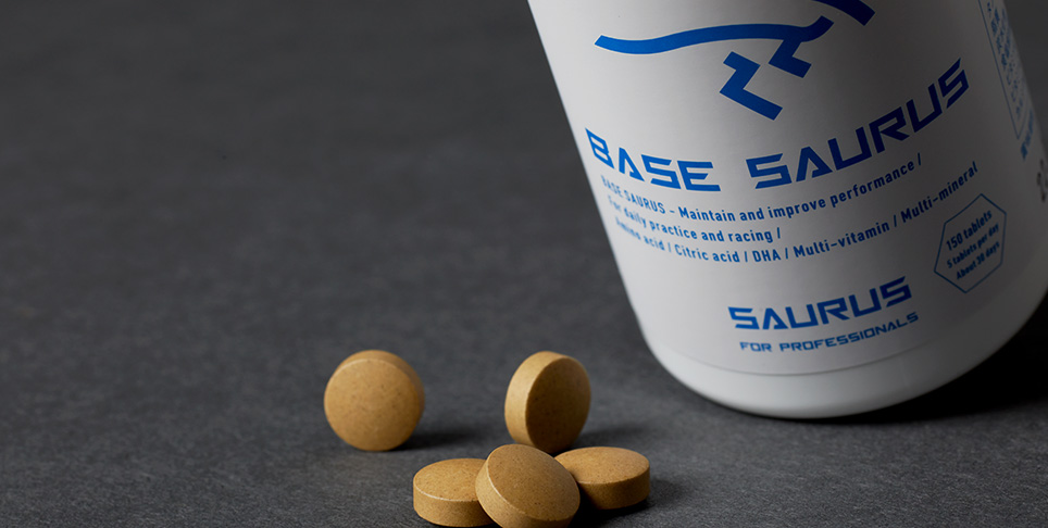 BASESAURUS商品画像