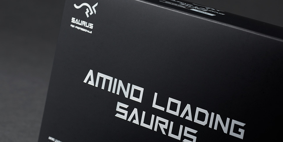 LOADINGSAURUS商品画像