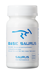 BASESAURUS商品画像