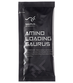 LOADINGSAURUS商品画像