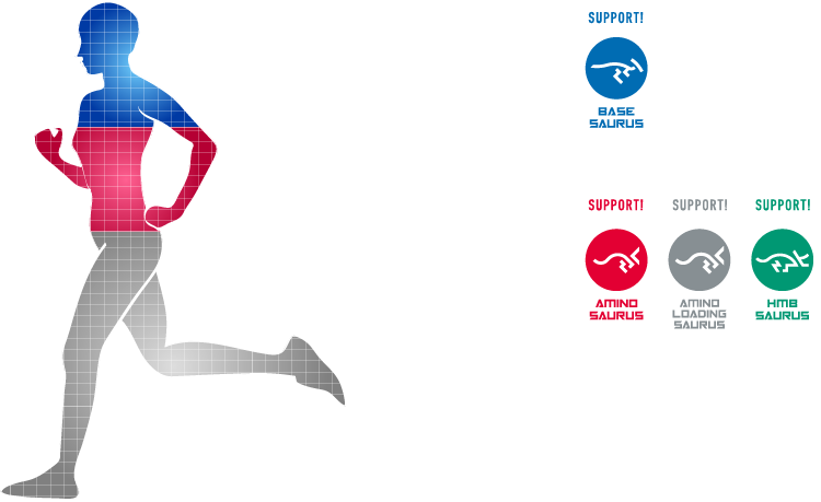 人体の構成要素のグラフ